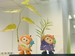 -贵凤凰贵州米粉(望京店)