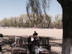 -长春世界雕塑园冰雪艺术天地