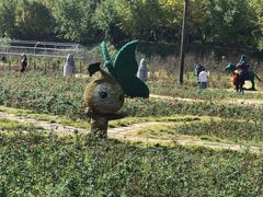 -千年银杏谷文化旅游区