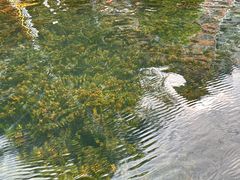 -靖西鹅泉风景区