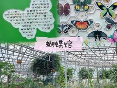 -盈香心动乐园