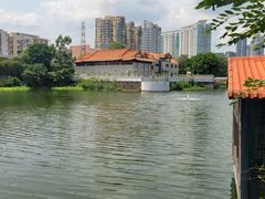 -侨美·唐荔园·40年地道粤菜