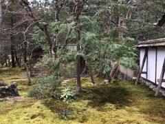 -西芳寺(苔寺)