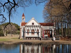 -上海共青森林公园