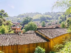 -杨家堂村