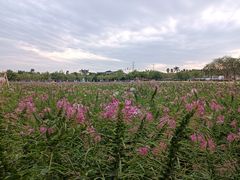 -盈香心动乐园