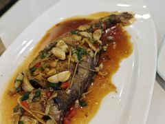 -陆记鹅庄·潮汕菜·狮头鹅(大仟里店)