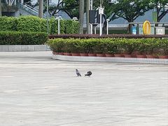 -人民广场