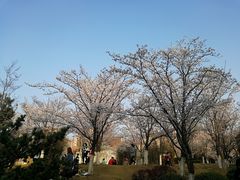 -堤角公园