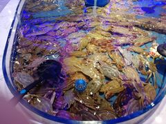 -澜悦港海鲜体验主题餐厅