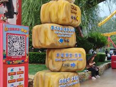 -北京欢乐谷