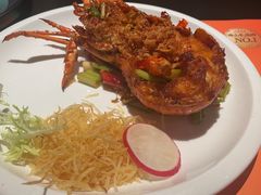 -羽鸽集·乳鸽专门店·地道顺德菜(岭南站店)