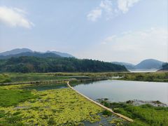 -孔雀湖生态旅游区