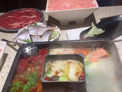 -二荆条·蜀鲜汇城市森林火锅