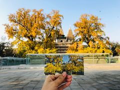 -北京石刻艺术博物馆(五塔寺)