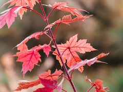 -云峰山自然风景区