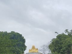 -苏州上方山国家森林公园