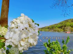 -东湖磨山景区