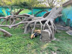 -上海野生动物园
