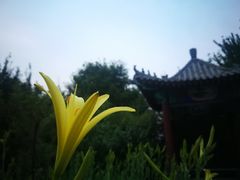 -丰台花园