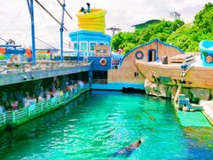 景点-大连老虎滩海洋公园