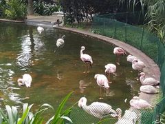 -九龙公园