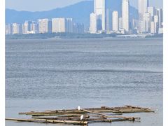 -深圳湾公园(南山区)