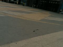 -万达广场(南宁青秀店)