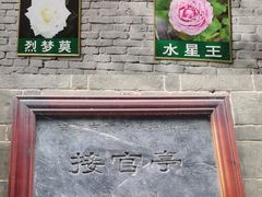 -南阳府衙