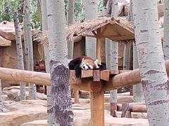 -北京野生动物园