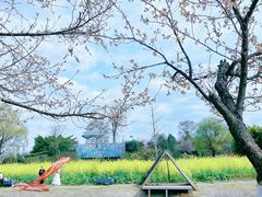 -国际非物质文化遗产博览园