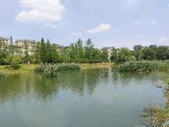 -两河城市森林公园