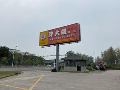 -胖大姐黄辣丁鱼庄(新津店)