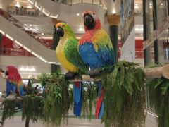 -环球港凯悦 · 享悦中餐厅