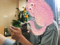 -喜多萌中农锦绣动物医院24H·猫科·牙科MRI·CT