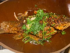 -树厨贵州菜(大十字店)