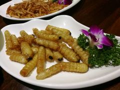-味道云南·云朵山歌(东方都会广场店)