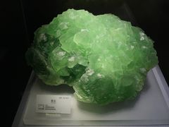 -湖南省地质博物馆