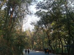 -岳麓山风景名胜区