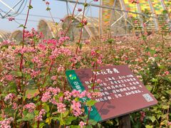 -中国天府农业博览园