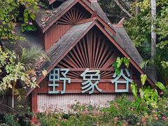 -野象谷景区