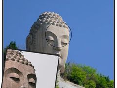 -蒙山大佛景区