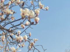 -春风习习