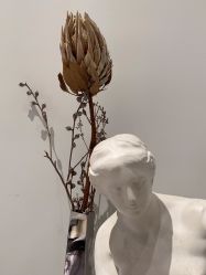 -汤尼英盖TONI&GUY-essensuals