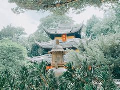 -龙华寺