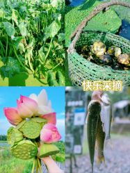 -水八仙生态园
