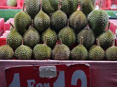 -Ah Hung D24 Sultan Durian