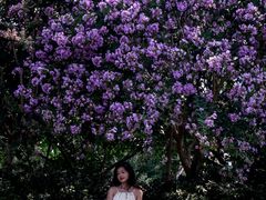 -杭州城北体育公园