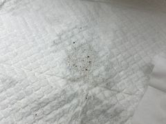 -美联众合动物医院·24h转诊中心