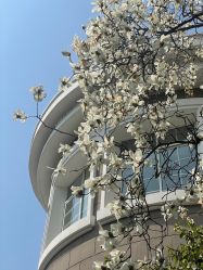 -杰爱月子护理中心